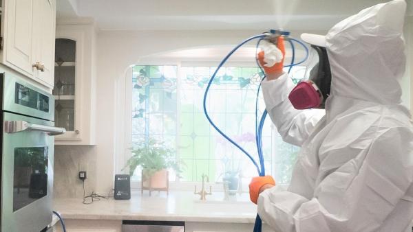 Mold Zero Services