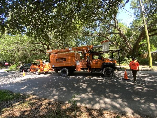 Driven Tree Service