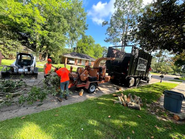 Driven Tree Service