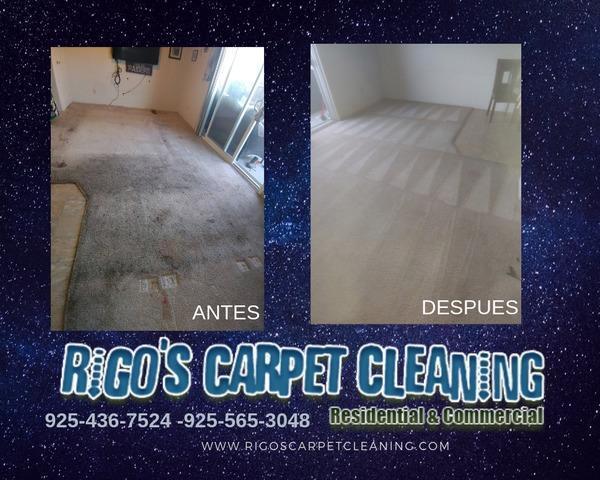 Rigos Carpet Cleaning