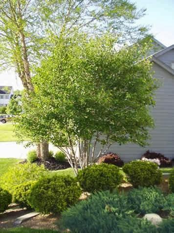 K&R Landscaping