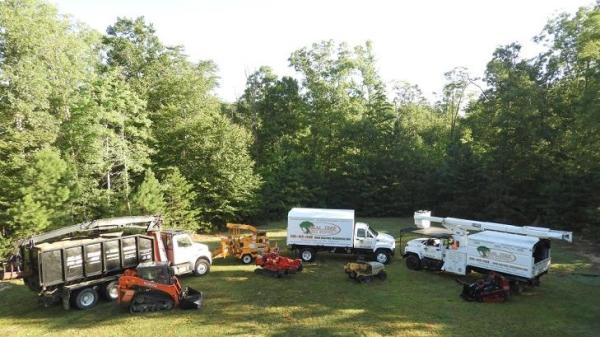 Real Tree-Tree Service