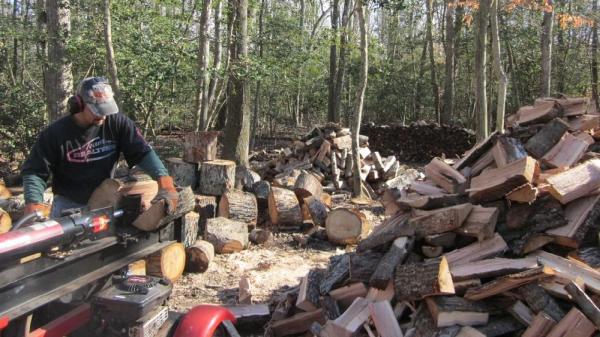 Real Tree-Tree Service