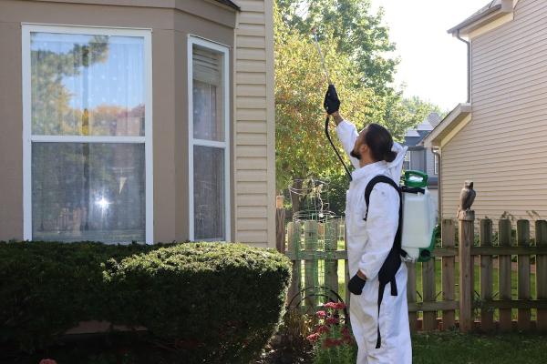 Pro Prevent Pest Services