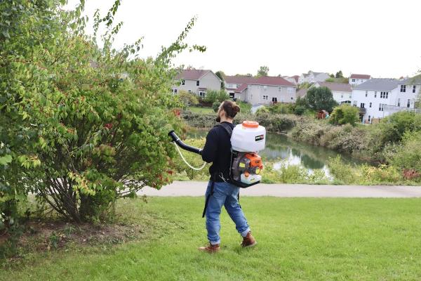 Pro Prevent Pest Services
