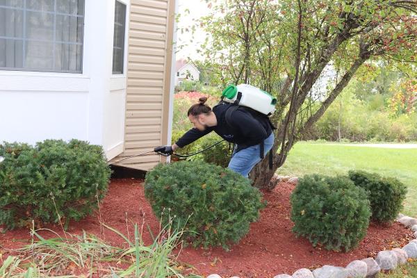 Pro Prevent Pest Services