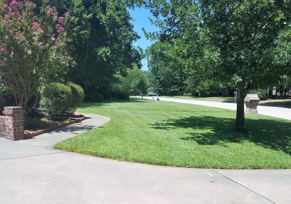 Republic Lawn