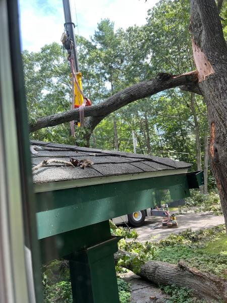 Mayer Tree Service