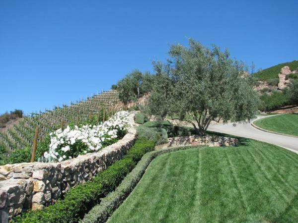 Landscapes By Jeffery