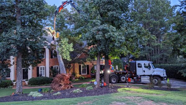 770 Arborist Emergency Tree & Crane Service
