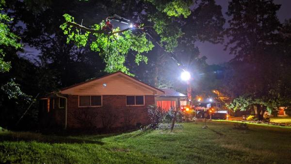 770 Arborist Emergency Tree & Crane Service