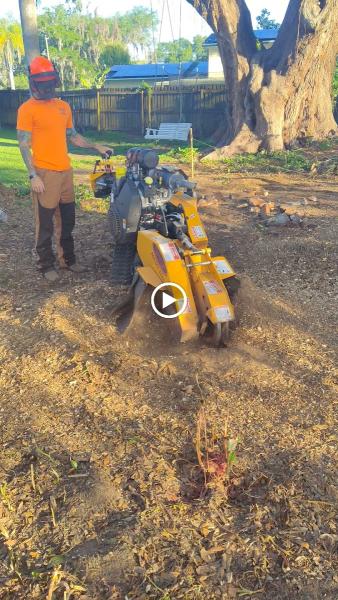 Tactical Stump Grinding