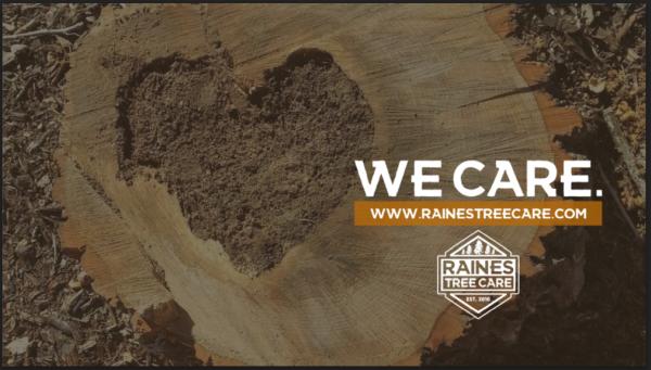 Raines Tree Care