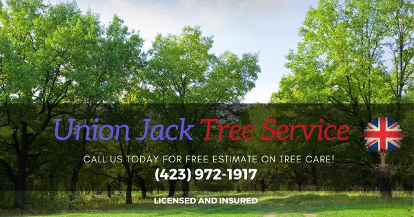 Union Jack Tree Service