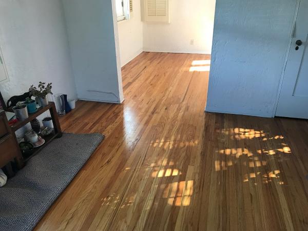 Local Home Services Inc
