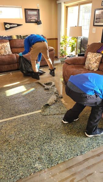 Healthy Home Restorations