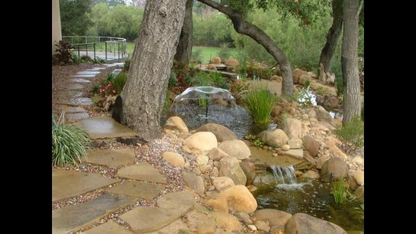 The Promised Landscape Inc