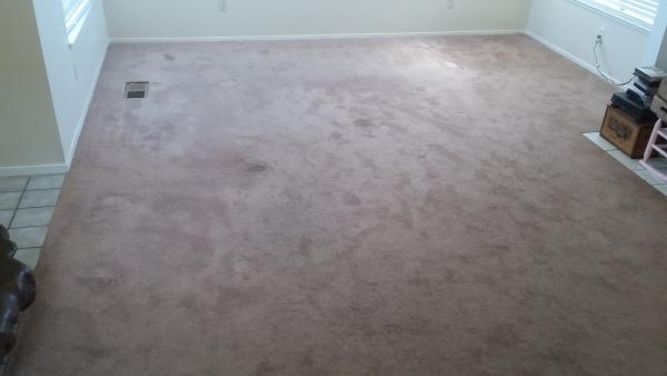 Mr. Fresh Carpet Care