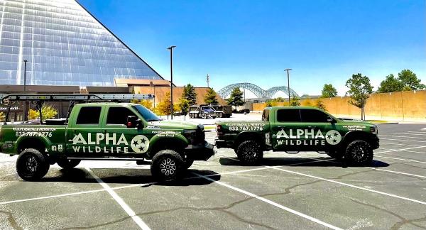 Alpha Wildlife Memphis