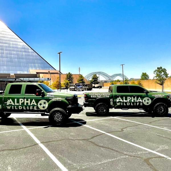 Alpha Wildlife Memphis