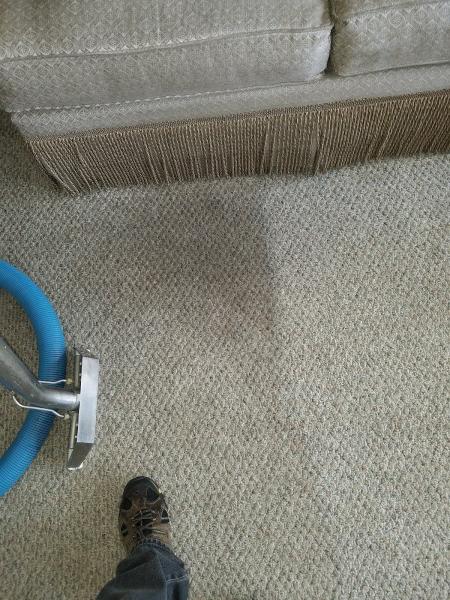 Tri-County Carpet Cleaning 11756