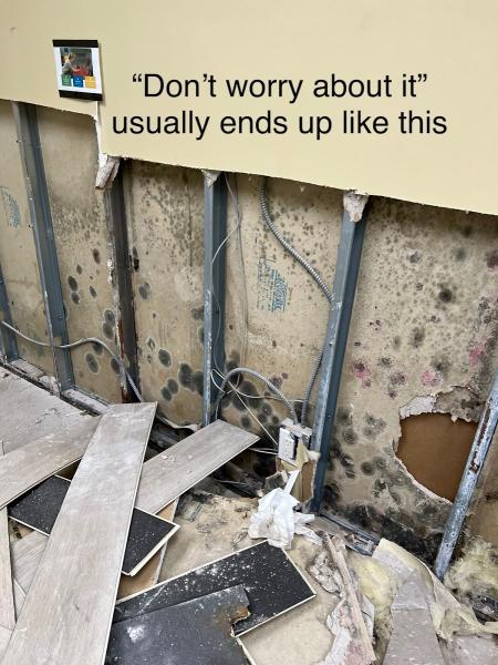 Quest Mold and Asbestos Inspections and Testing Corp.