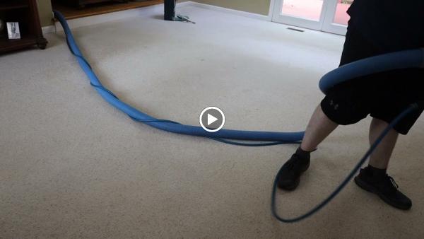 Lovejoy Carpet Care