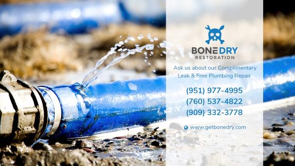 Bone Dry Restoration