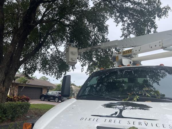 Dixie Tree Services