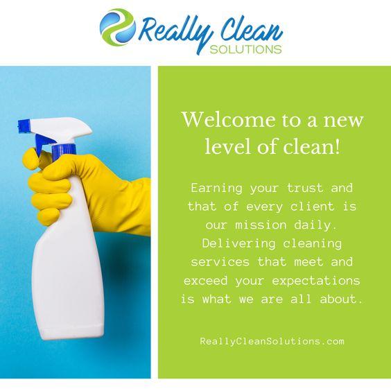 Really Clean Solutions Inc.