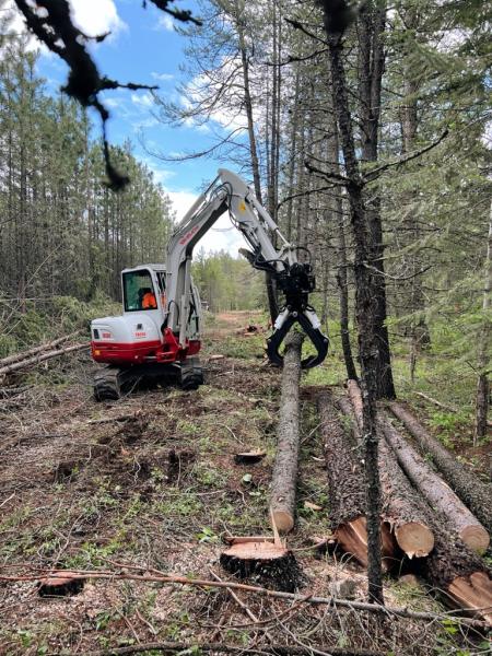 Mountain View Forestry