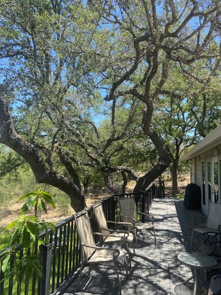 Certified Arbor Care