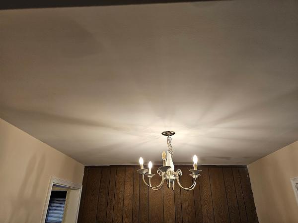 Mold Free NC