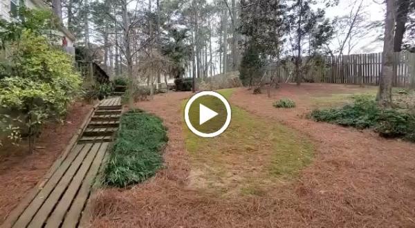 Georgia Oak Landscaping