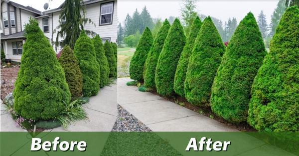 J R Landscaping Inc