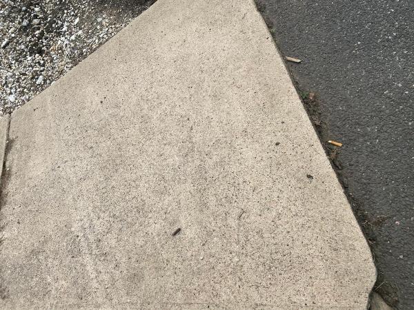 Concrete Contractors Yonkers