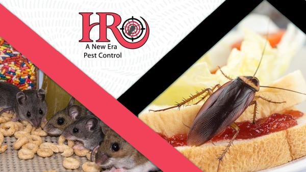H R Pest Control