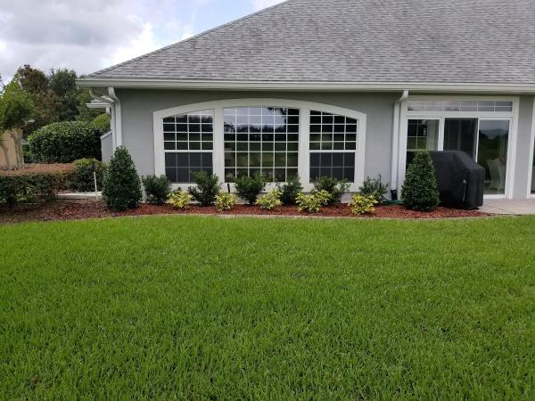 Plant Scapes Irrigation & Landscape