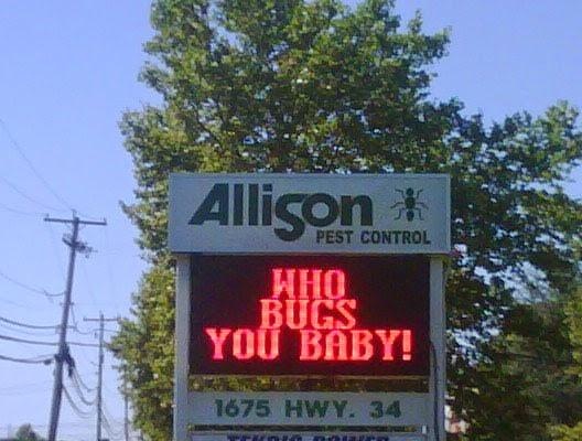 Allison Pest Control