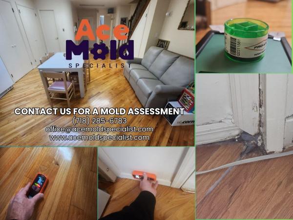 Ace Mold Specialist