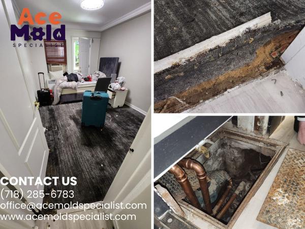 Ace Mold Specialist