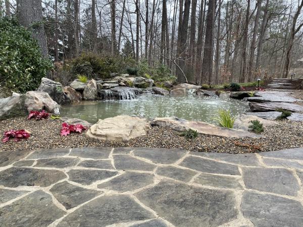 Peaceful Ponds