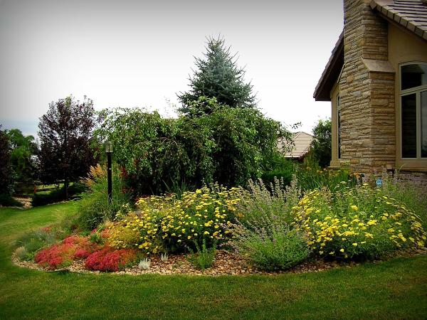 Wild Earth Gardens