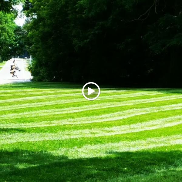 Pahuta Lawn Care