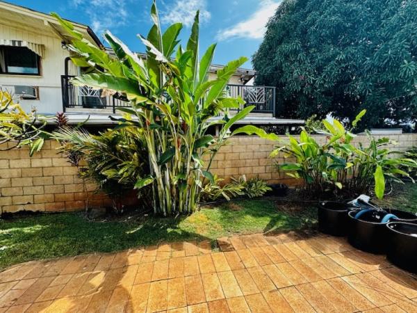 Roy's Lawn Mowing & Yard Services
