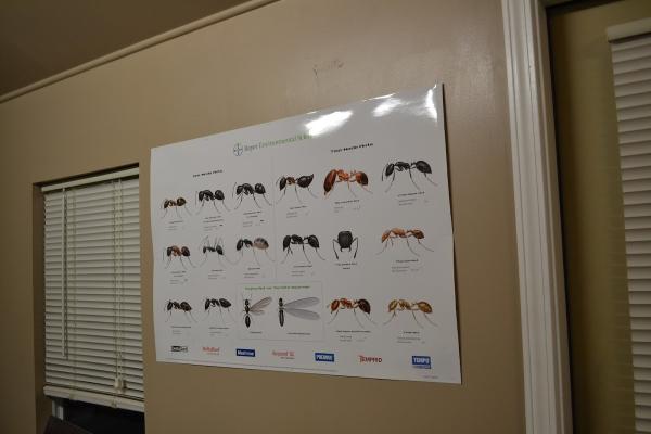 Advantage Pest Control