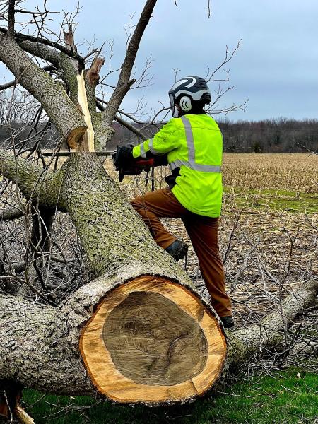 One Call Tree Service