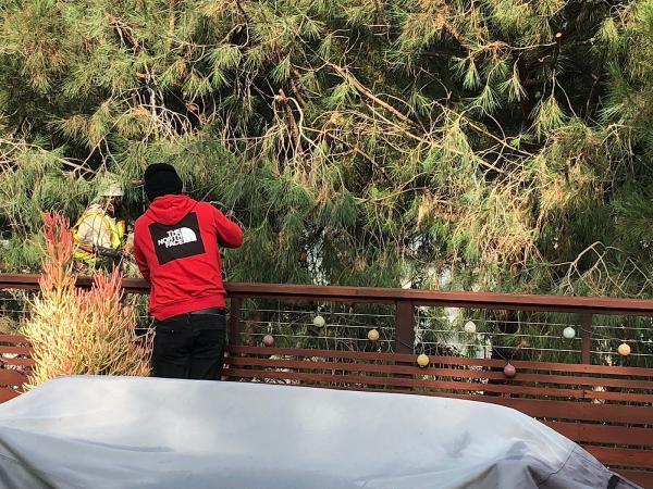 Elite Tree Care Inc.