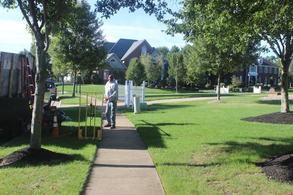 Mike Jones & Sons Tree Service LLC
