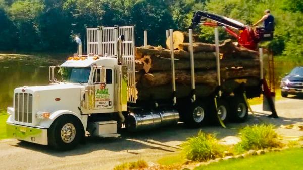 A&M Affordable Tree Service